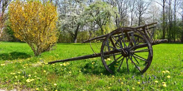 Biergarten Hotel und Restaurant Nehrener Hof 8